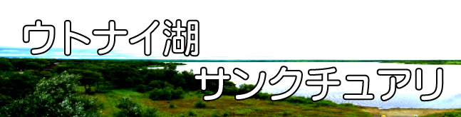 ウトナイ湖サンクチュアリ